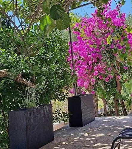 Apartman Kyra With Terrace And Garden