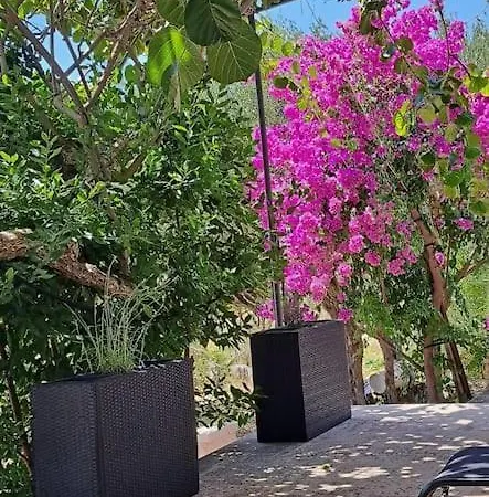 Apartamento Kyra With Terrace And Garden